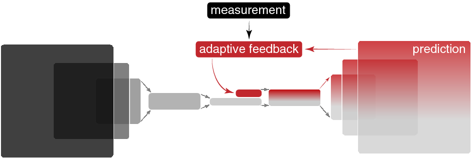 IMAGE(/sites/https-jai-physics-ox-ac-uk-443.webvpn.ynu.edu.cn/files/41598_2021_98785_Fig1_HTML.png)